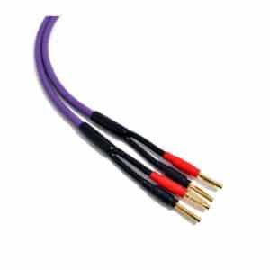 Wharfedale Cable de altavoz 4mm² 150cm - Morado - Accesorio